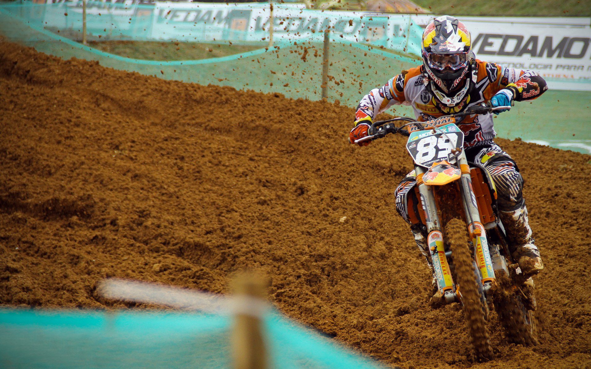 德国马术队在2024年国际马术联合会障碍赛世界巡回赛中获得团体第五名，展现强大实力。